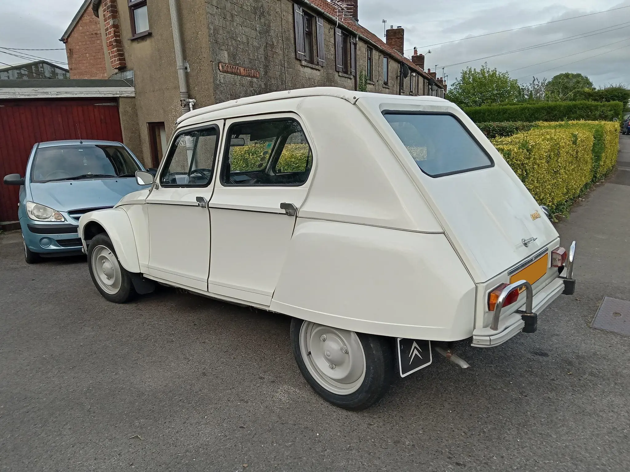 White car back