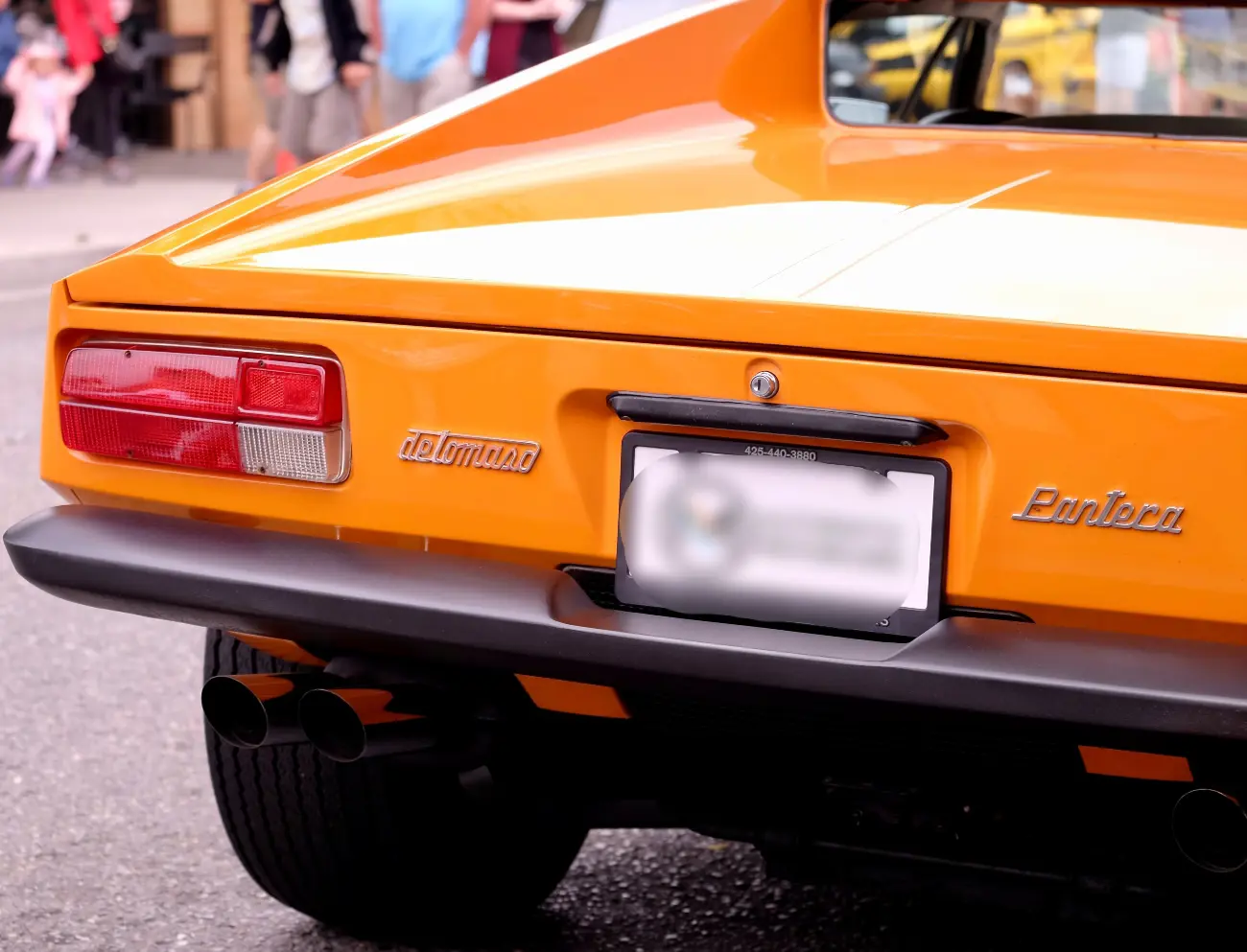 Elvis Pantera