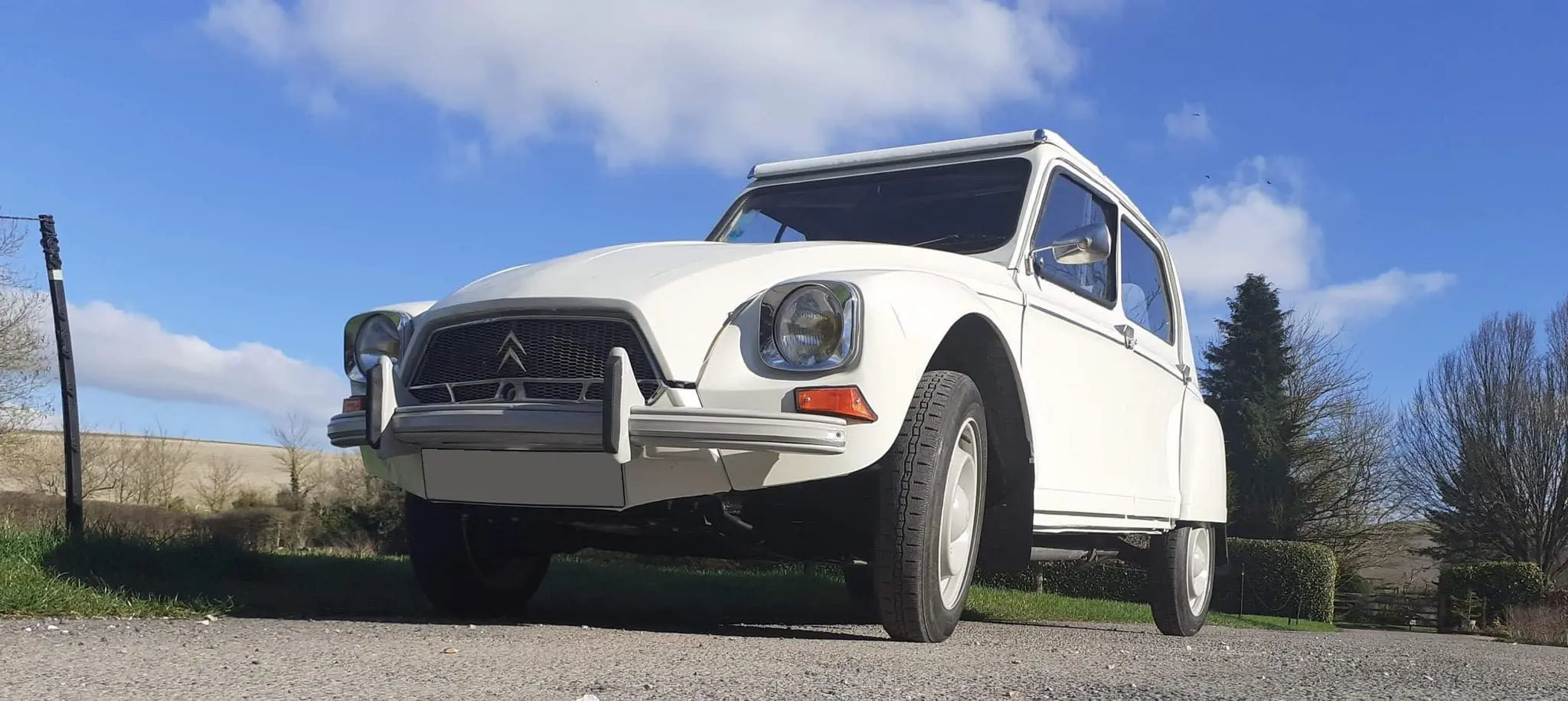 White car