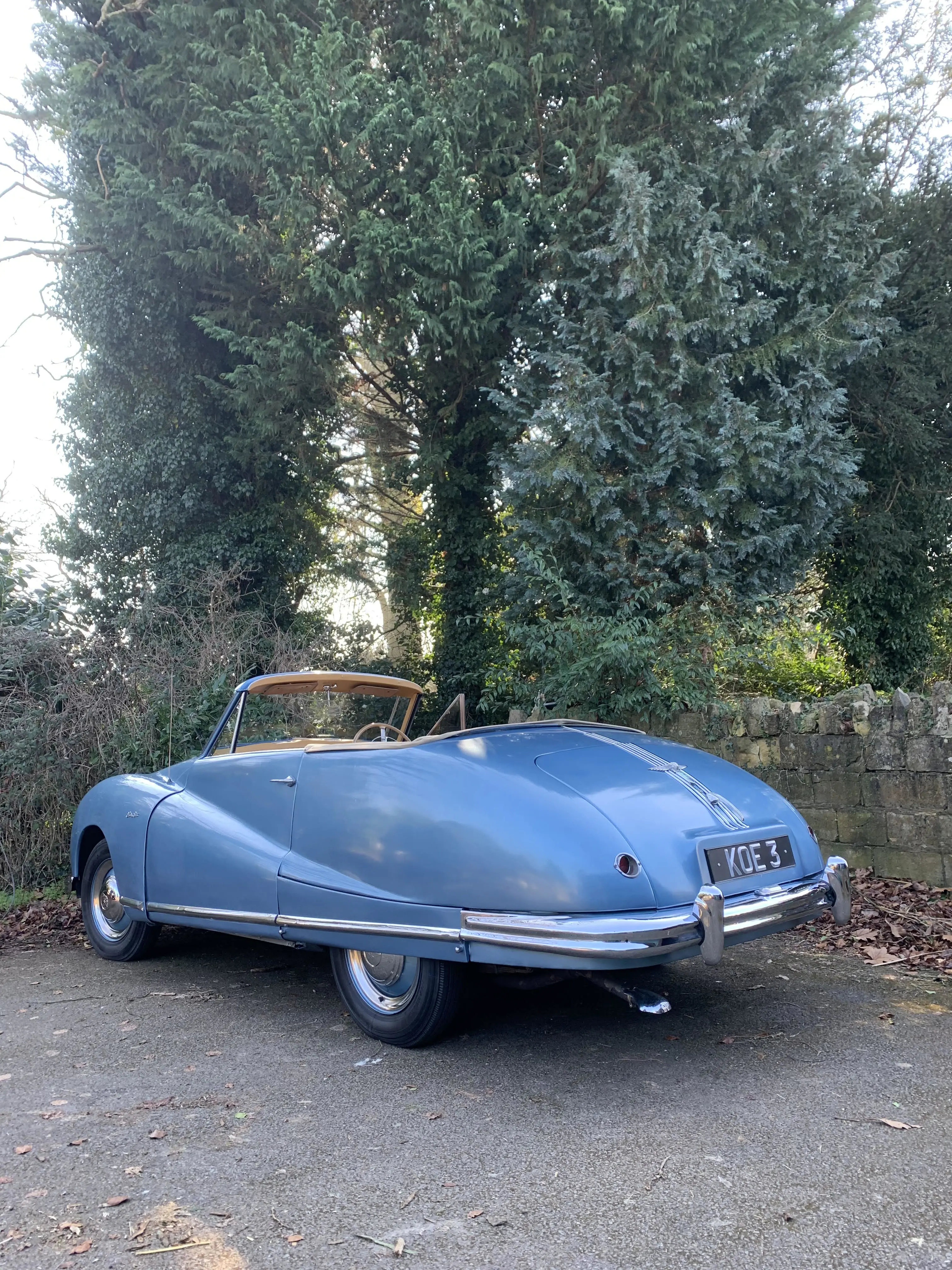 Back of Classic Austin