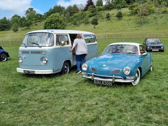 Blue VWs