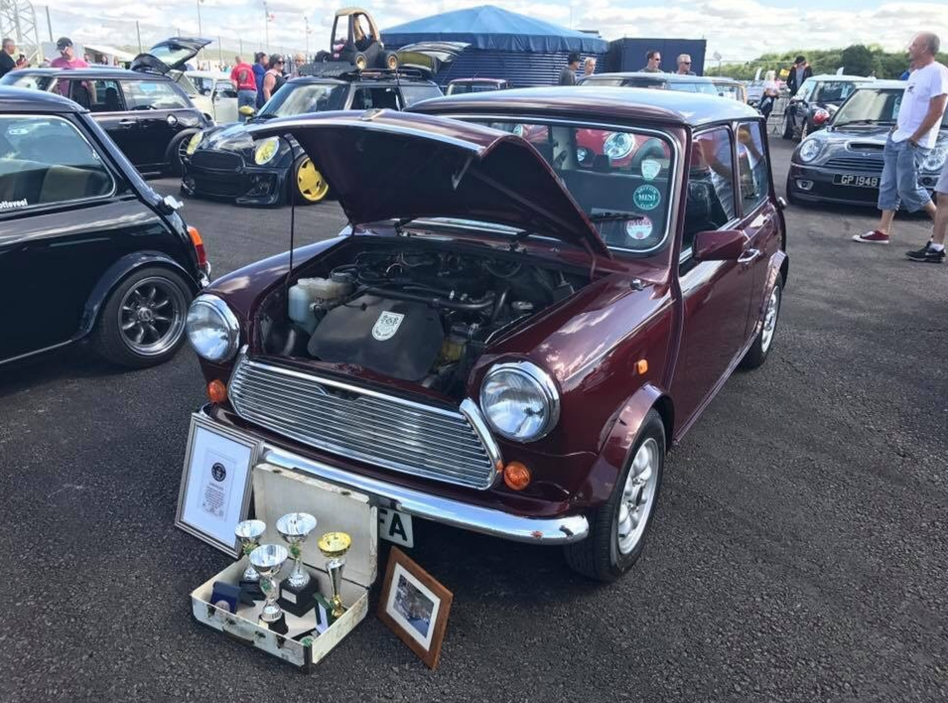Seven Splendid Special Edition Minis