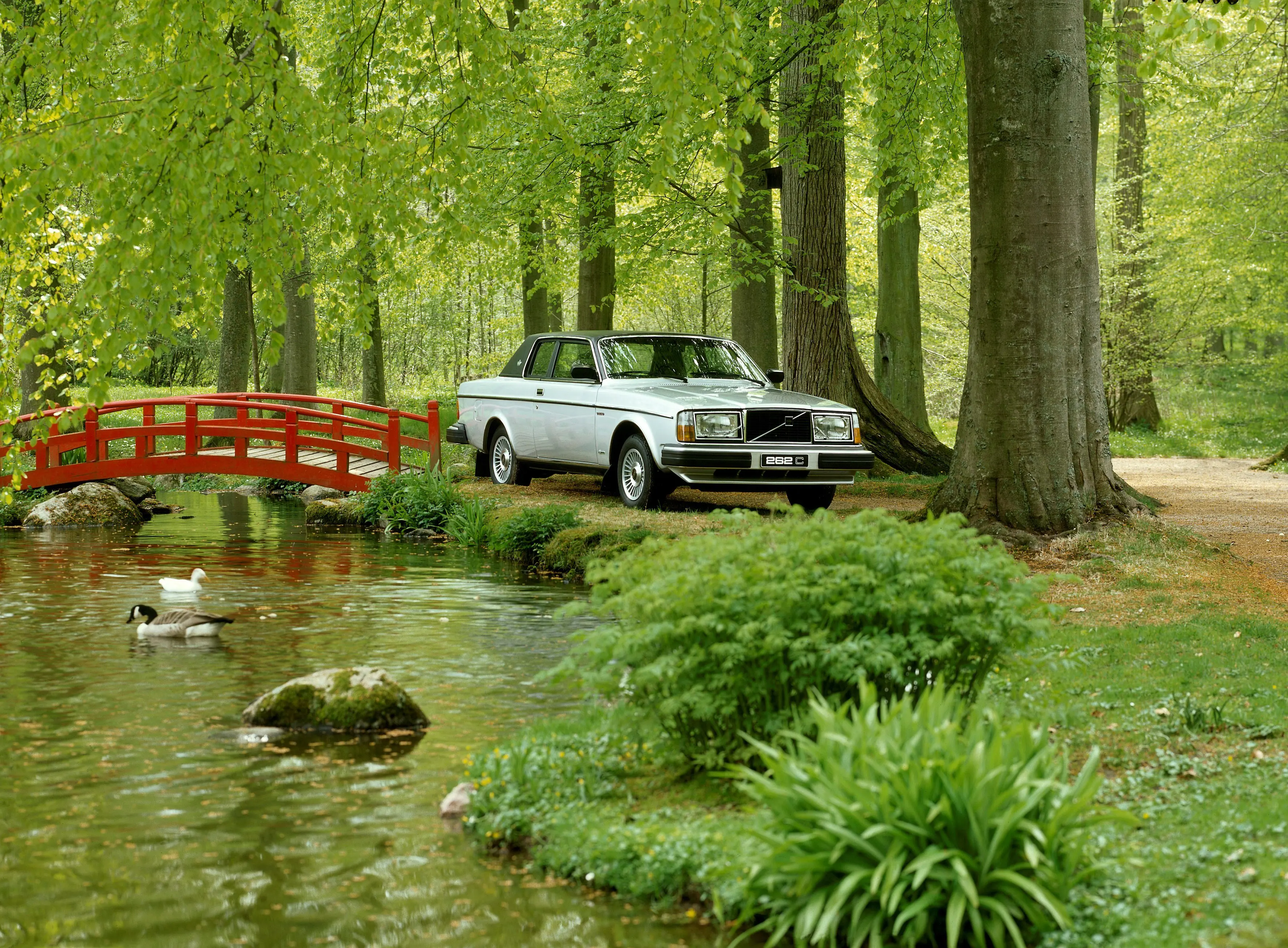 Volvo 262C