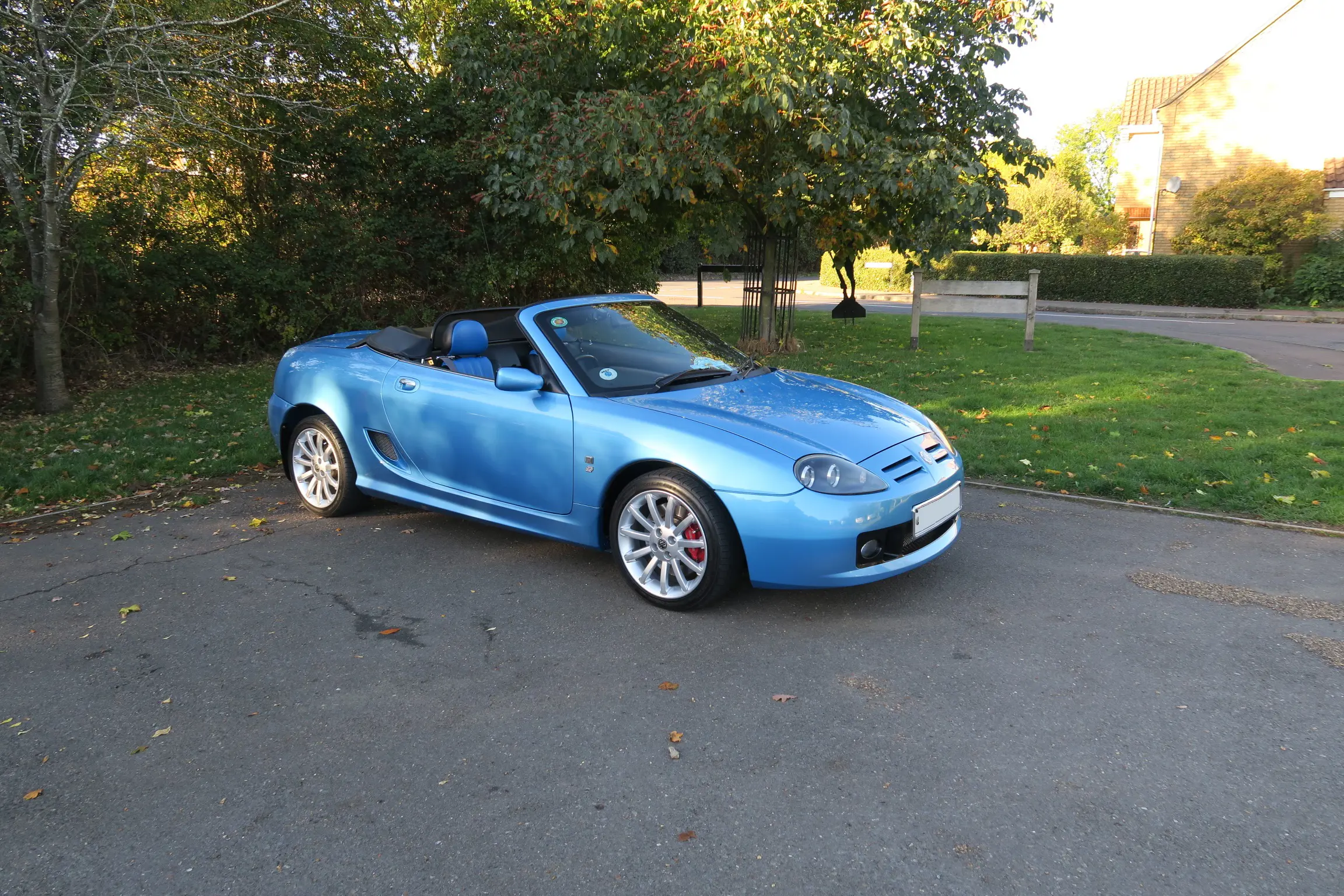 Car on grass