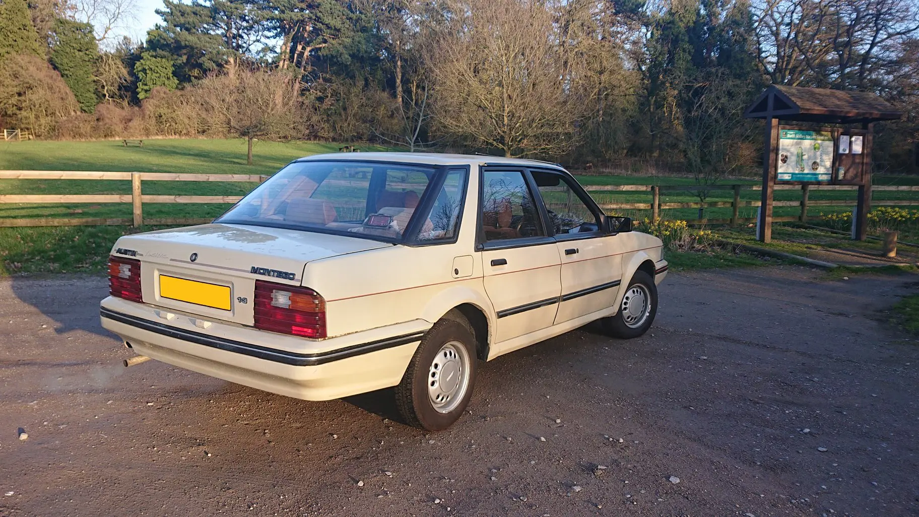 White car rear
