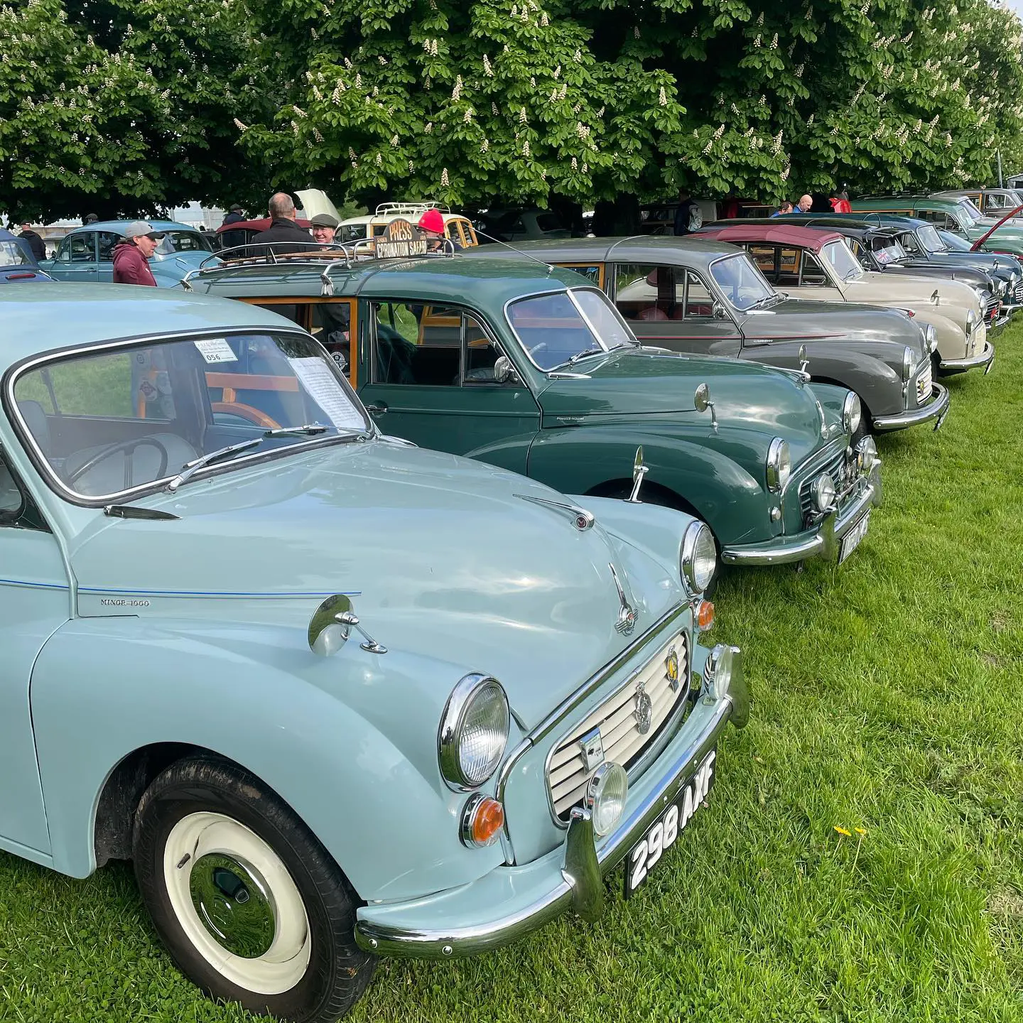 Classic cars