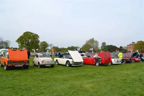 Catton 2017 52 