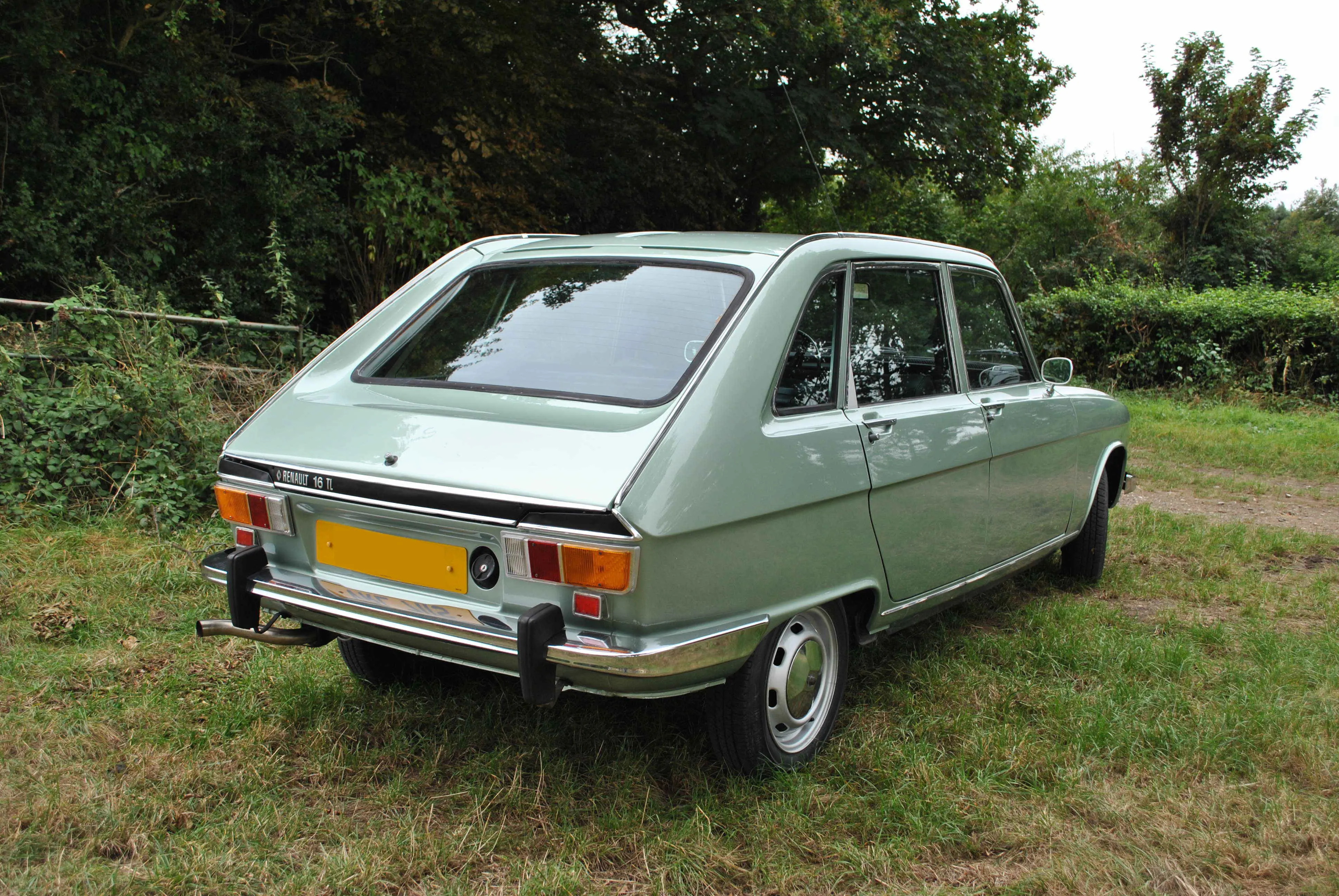 Green car back
