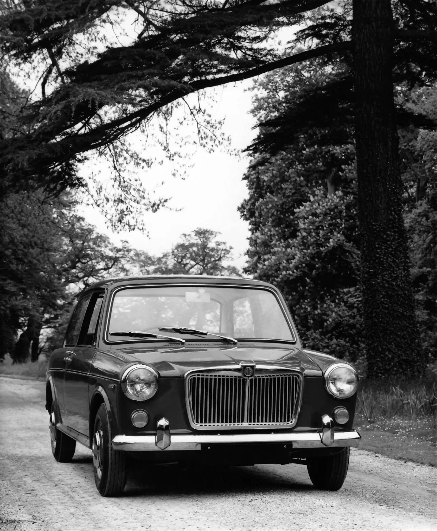 MG 1300