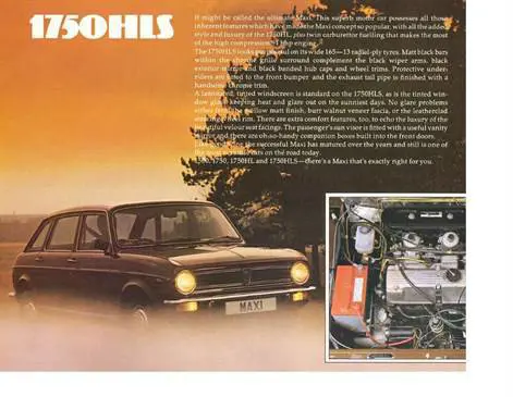 Austin Maxi