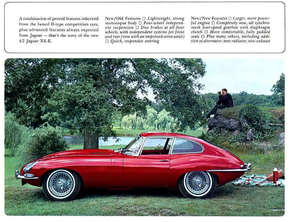 Red Jaguar