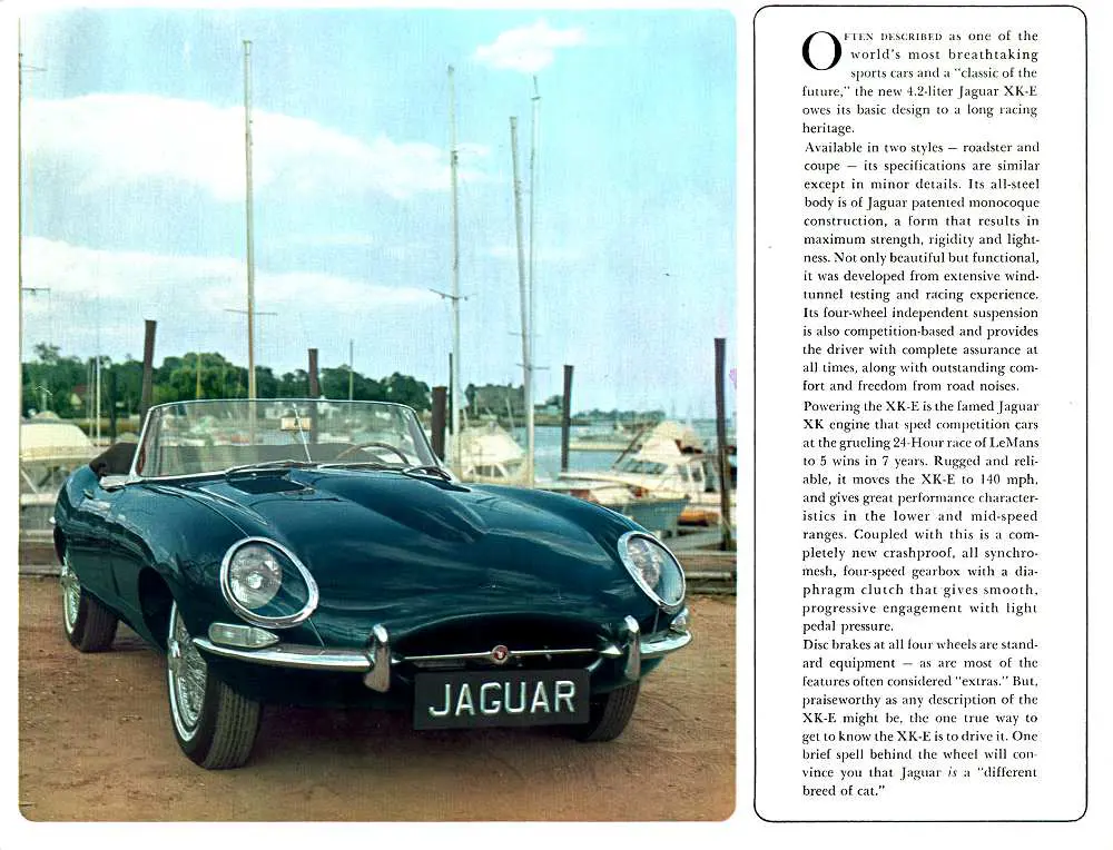 Black Jaguar