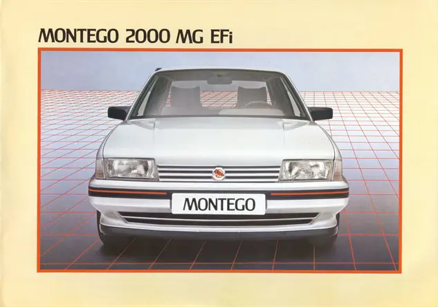 MG2 (1)